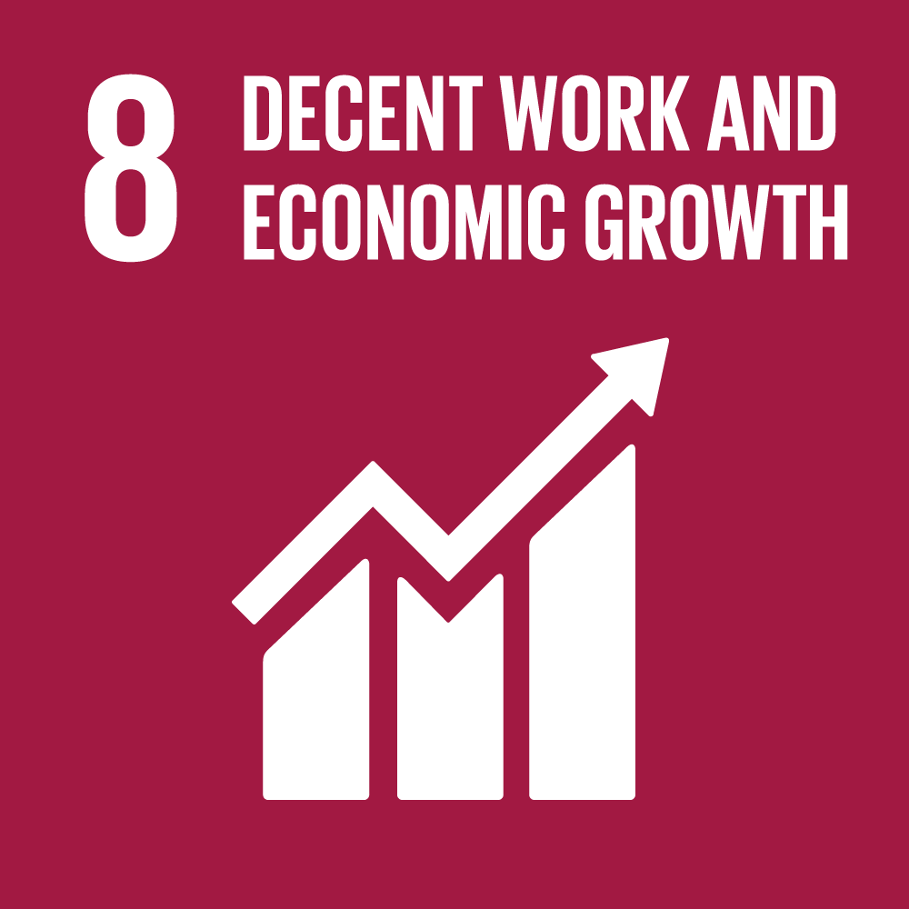 SDG 8 Icon