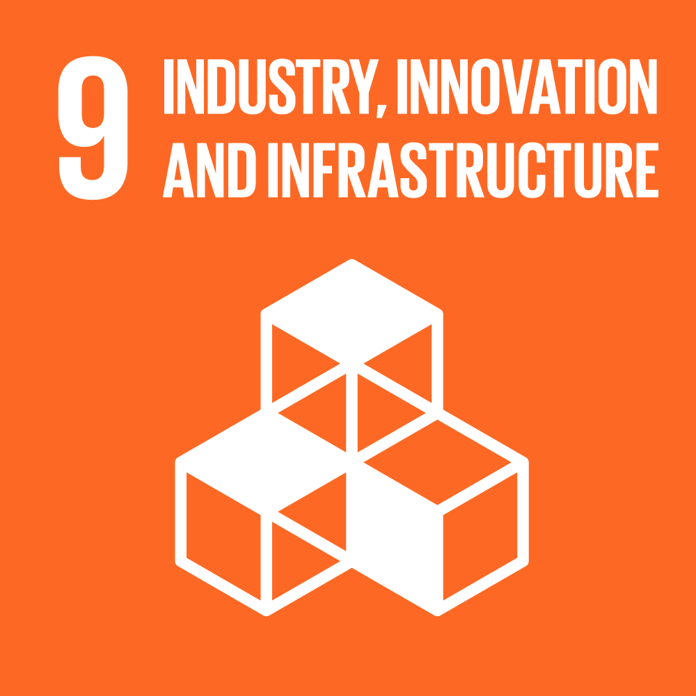 SDG 9 Icon